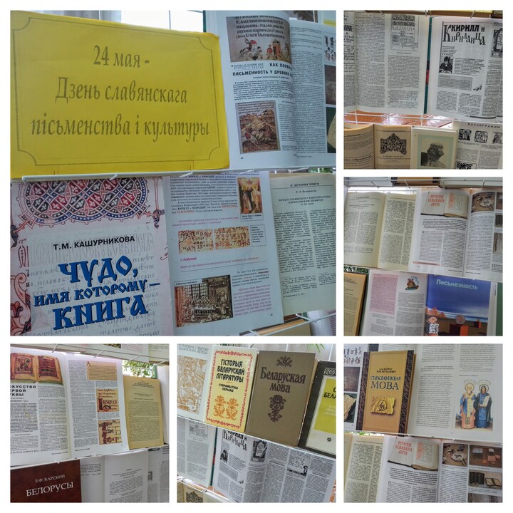 20250523_164844-COLLAGE (1)